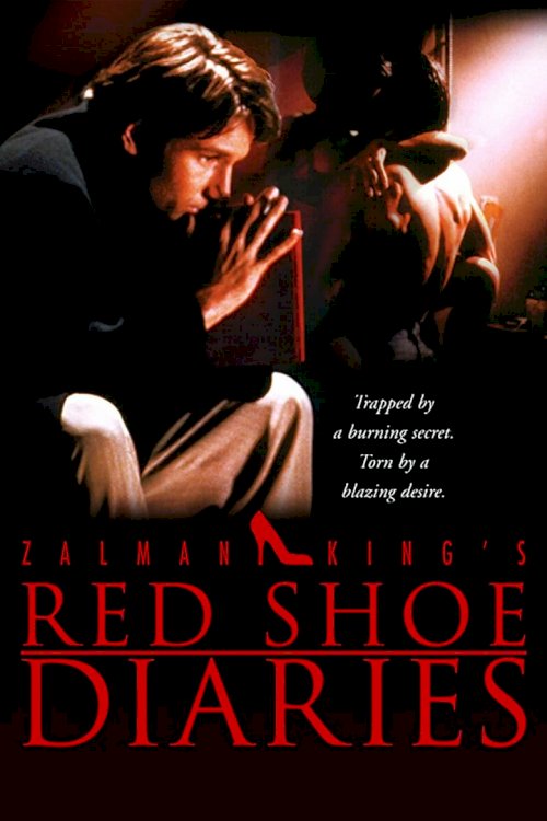 Дневники «Красной туфельки» - постер