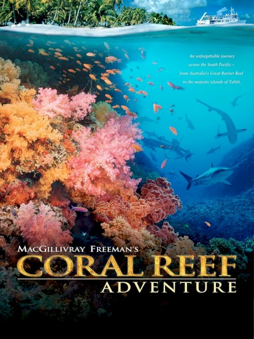 Coral Reef Adventure - постер