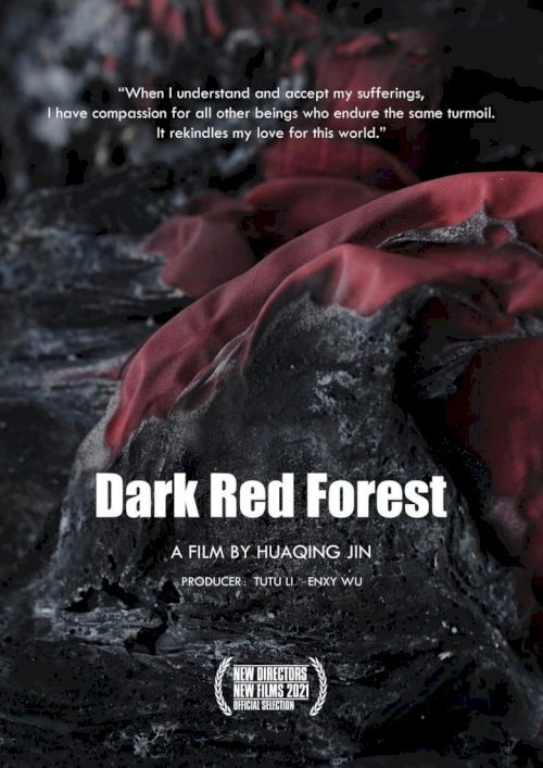 Dark Red Forest - постер
