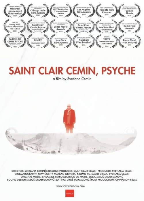 Saint Clair Cemin, Psyche - постер