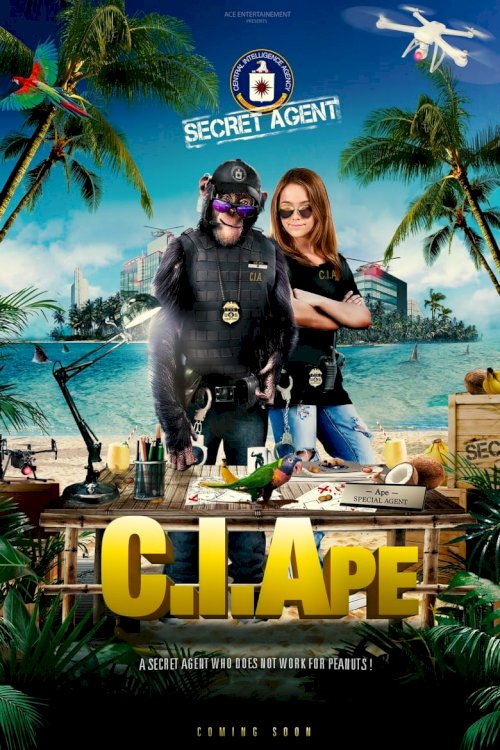 Шимпанзе под прикрытием - постер