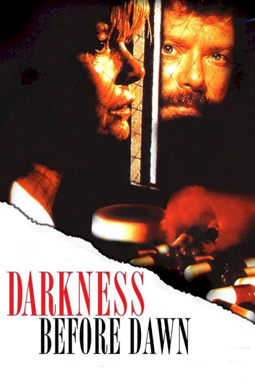 Darkness Before Dawn - постер