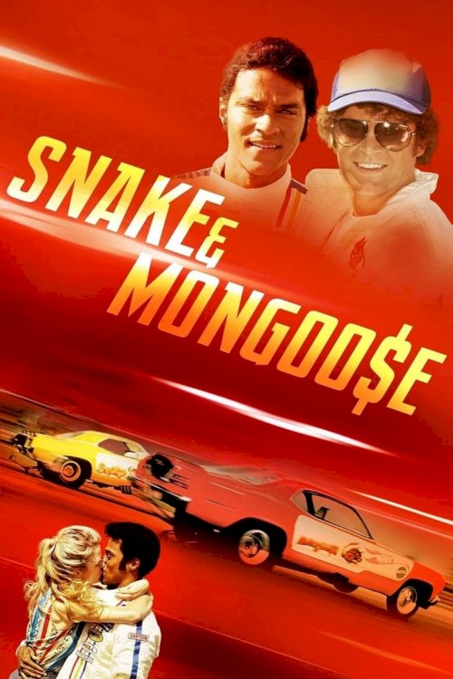 Змея и мангуст - постер