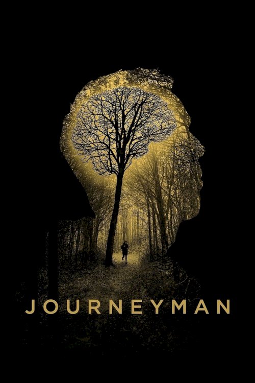 Journeyman - poster