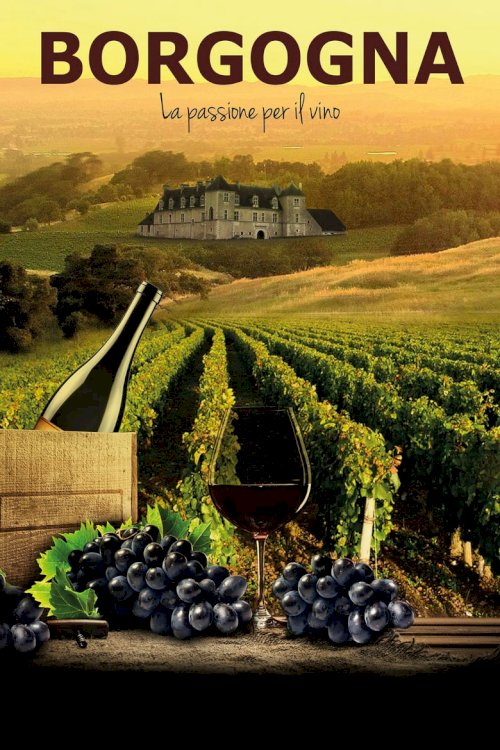 Burgundy: People with a Passion for Wine - постер