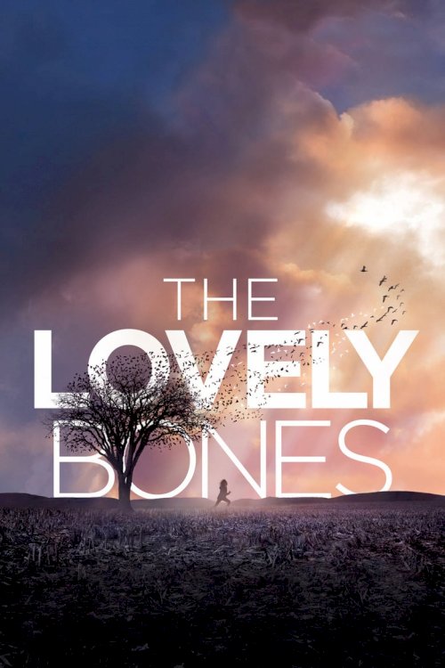 Lovely Bones - poster