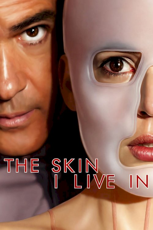 The Skin I Live In - poster
