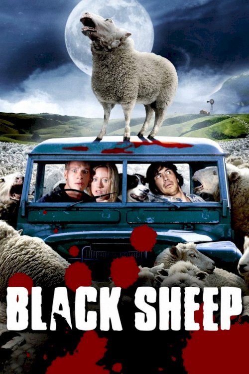 Melnās avis - posters