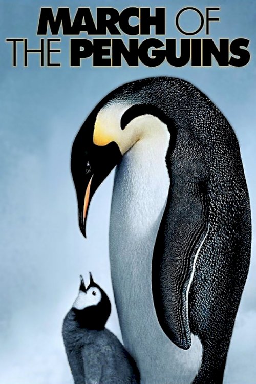 March of the Penguins - poster