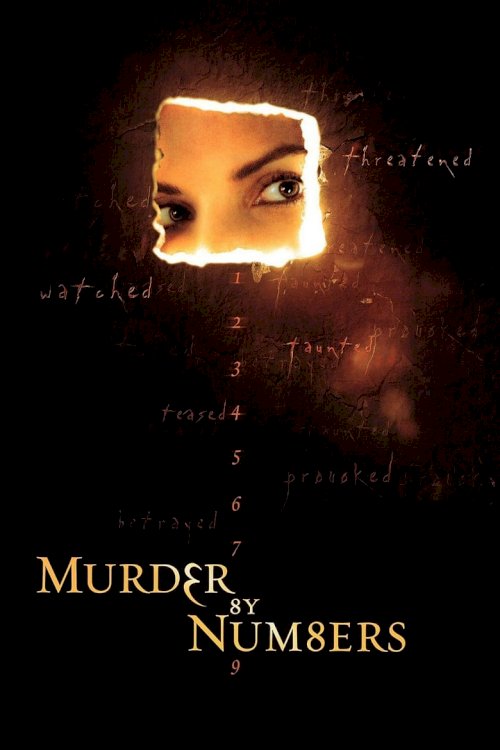 Murder by Numbers - постер