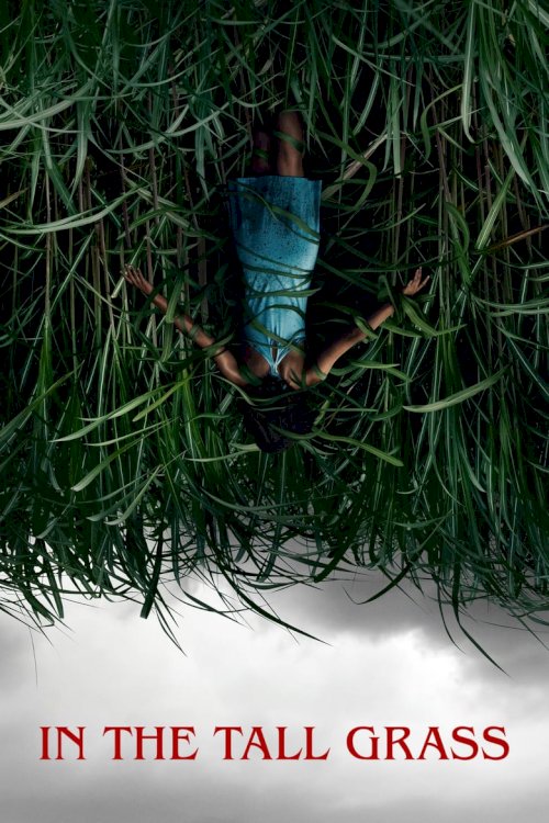 In the Tall Grass - posters