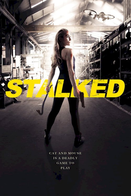 Stalked - poster