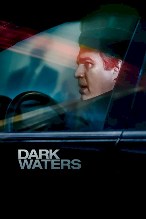 Темные воды - постер
