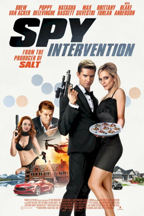 Spy Intervention - poster