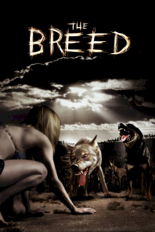 The Breed - poster
