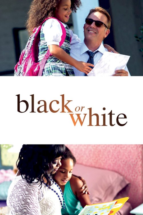 Чёрное или белое - постер
