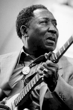 Muddy Waters