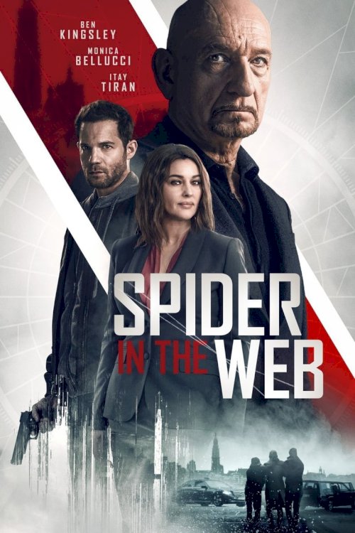 Spider in the Web - poster