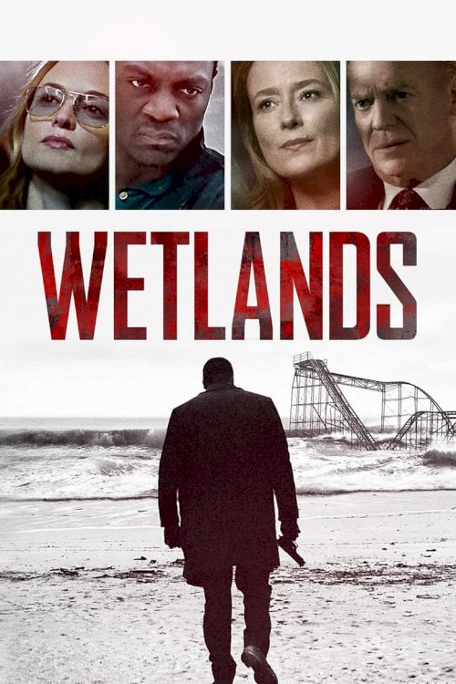 Wetlands - poster