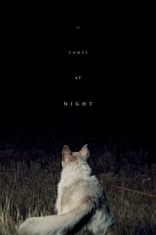 It Comes at Night - poster