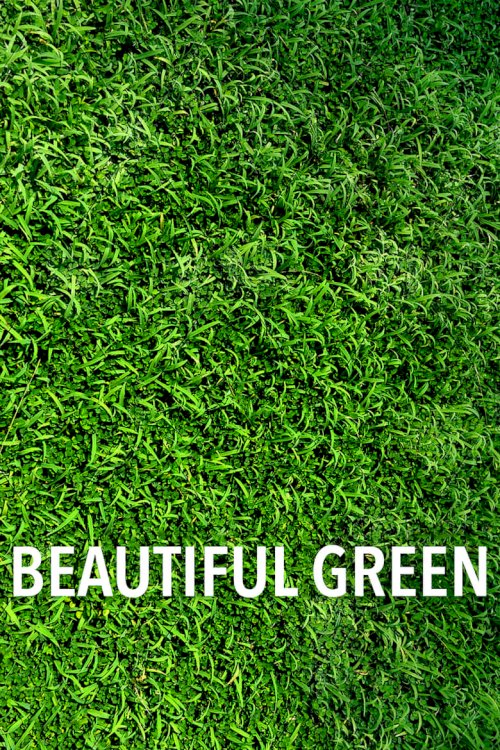 Beautiful Green - poster