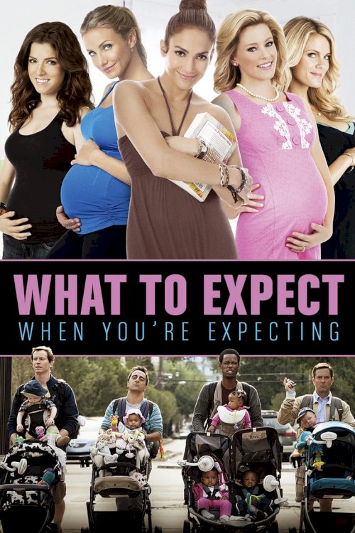 What to Expect When You're Expecting - poster