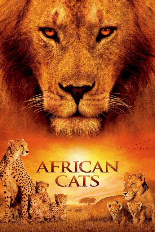 Африканские кошки: Королевство смелых - постер