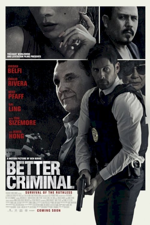 Better Criminal - poster