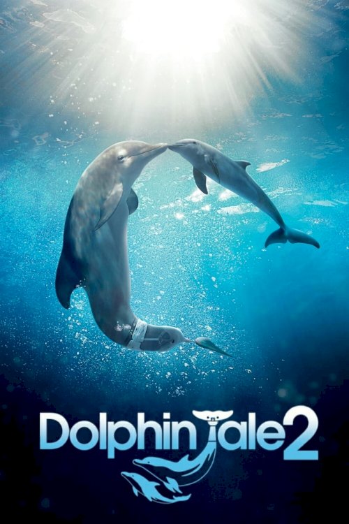2. delfīnu pasaka - posters