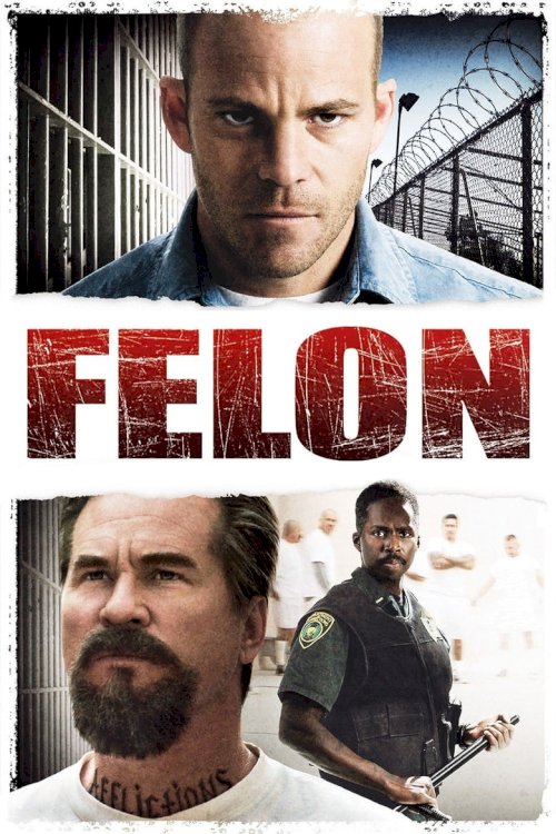Felon - poster
