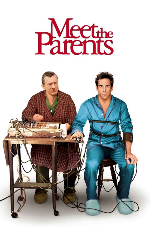Meet the Parents - poster
