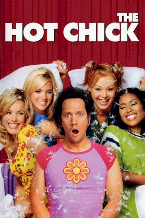 The Hot Chick - poster