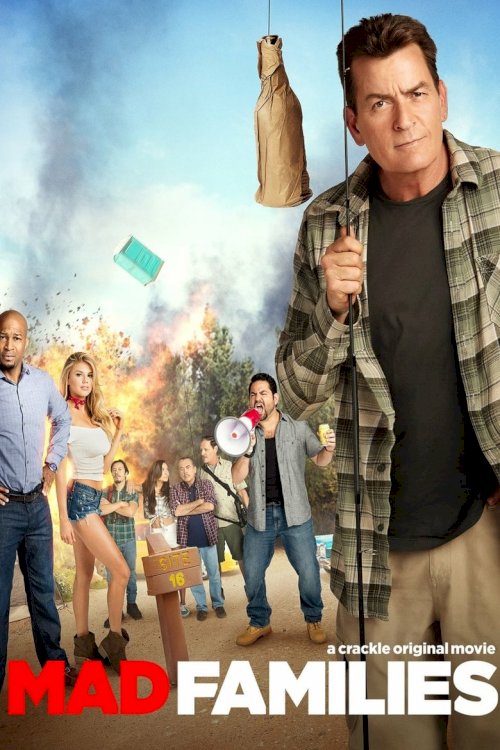 Mad Families - poster