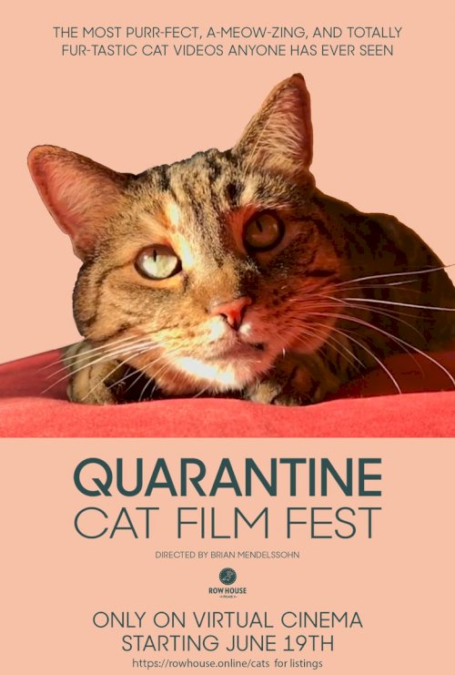Quarantine Cat Film Festival