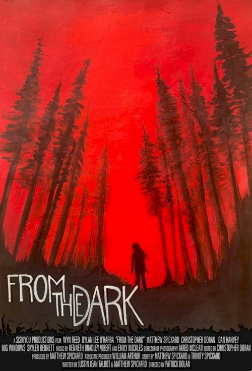 From the Dark - poster