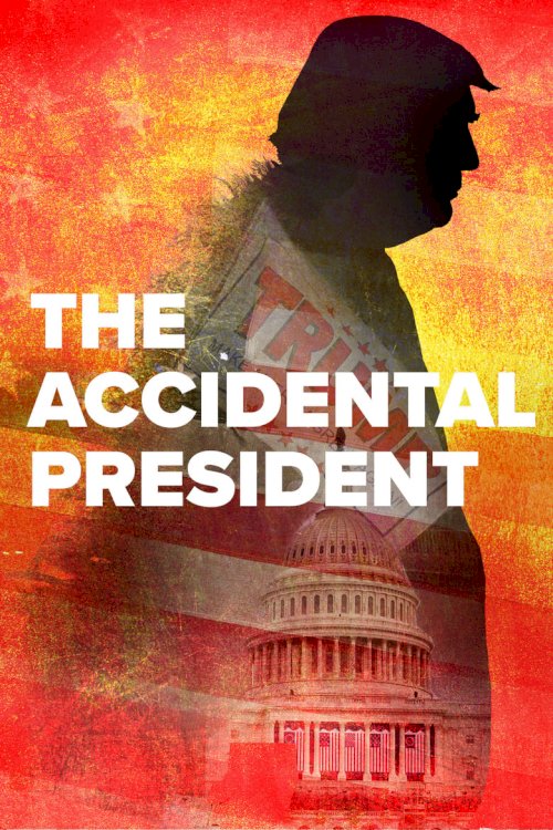 The Accidental President - poster