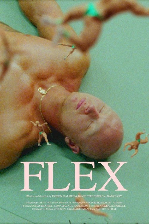 Flex - poster