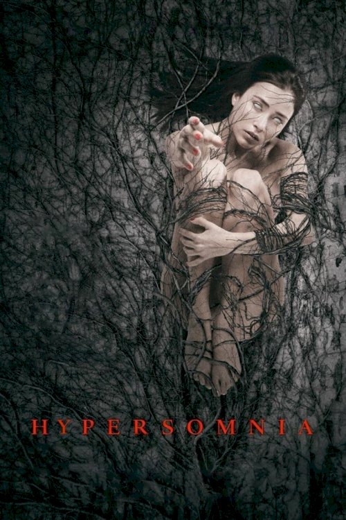 Hypersomnia - poster