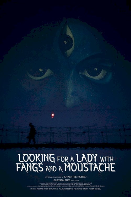 Looking for A Lady with Fangs and A Moustache - poster