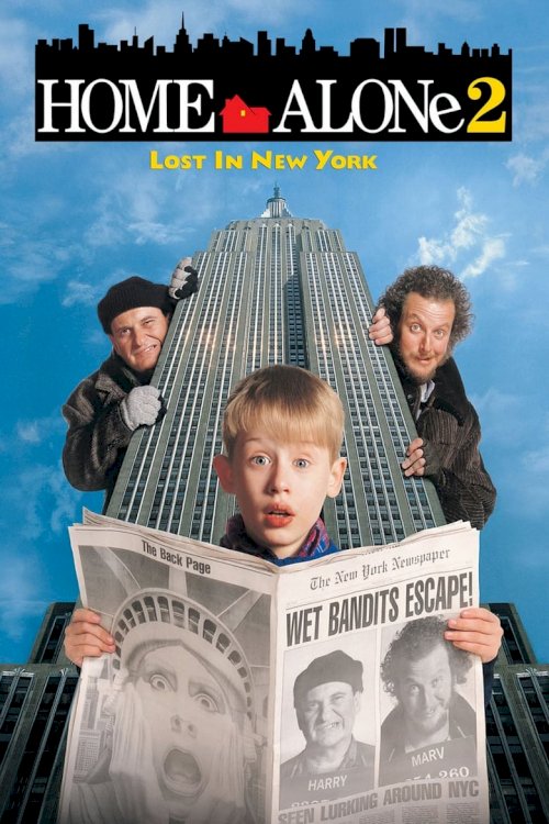 Viens pats mājās 2: Pazudis Ņujorkā - posters