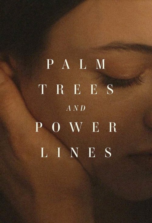 Palm Trees and Power Lines - poster