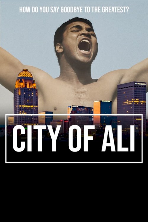 City of Ali - постер