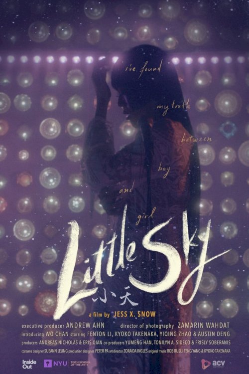 Little Sky - posters