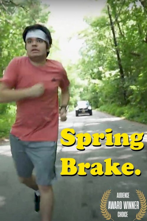 Spring Brake - poster