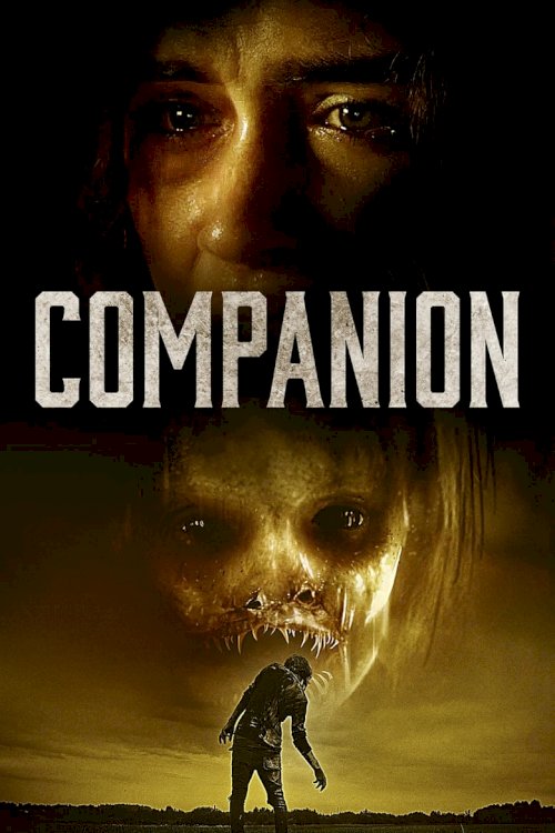 Companion - poster