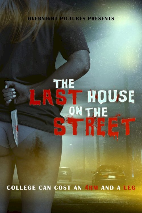 The Last House on the Street - poster