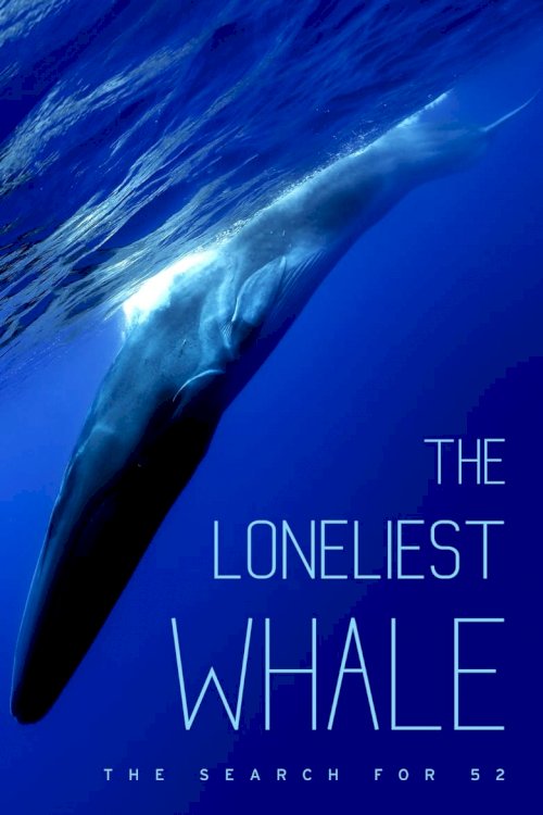The Loneliest Whale: The Search for 52