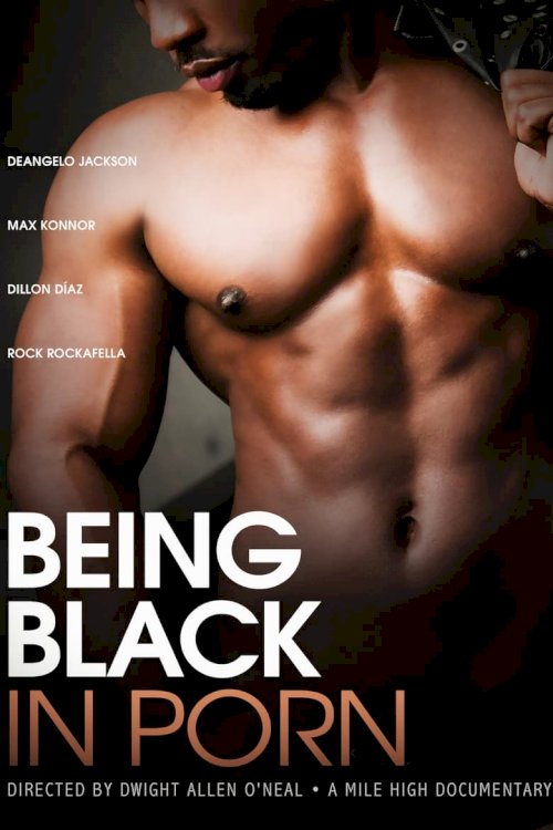 Being Black in Porn - poster