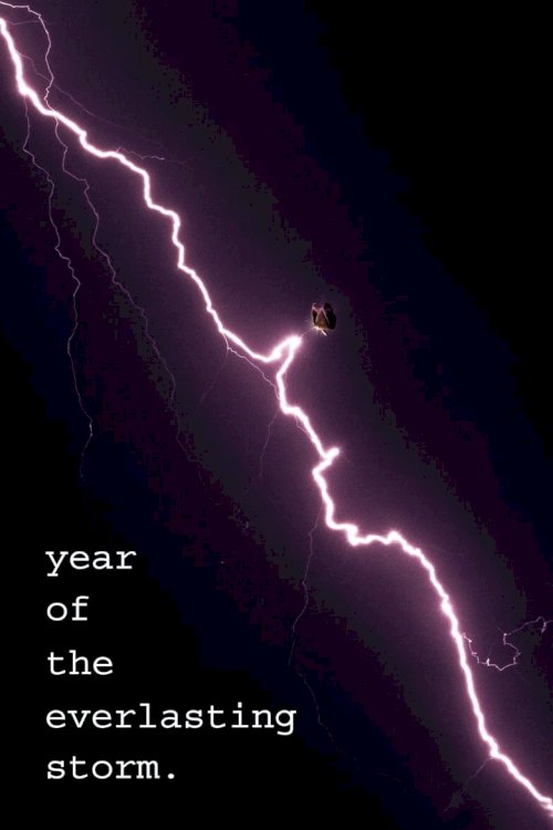 The Year of the Everlasting Storm - poster