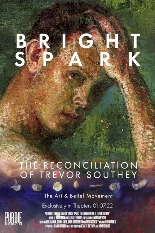 Bright Spark: The Reconciliation of Trevor Southey - poster